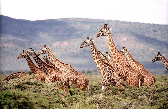 Best Cape Town Tours