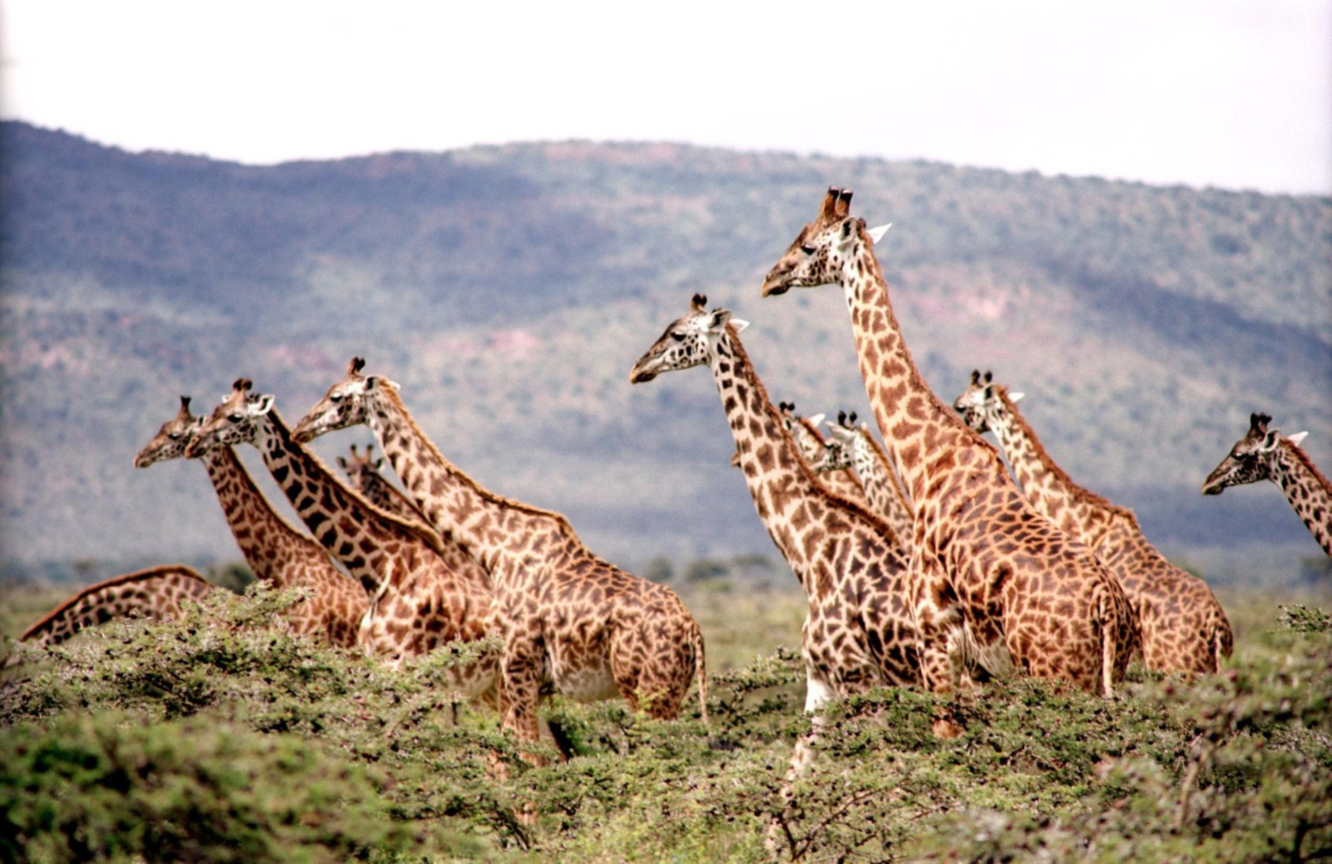 Best Cape Town Tours
