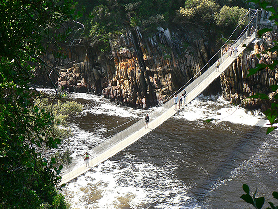 Best Cape Town Tours