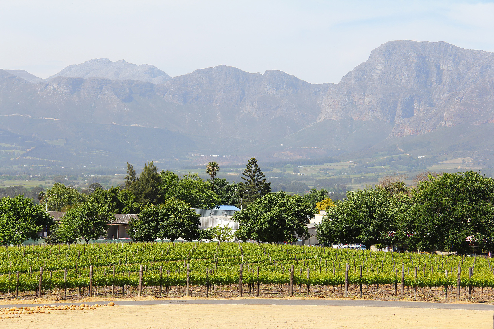 Best Cape Town Tours